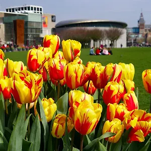 De Hallen , Ámsterdam Países Bajos